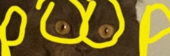 Nick banner