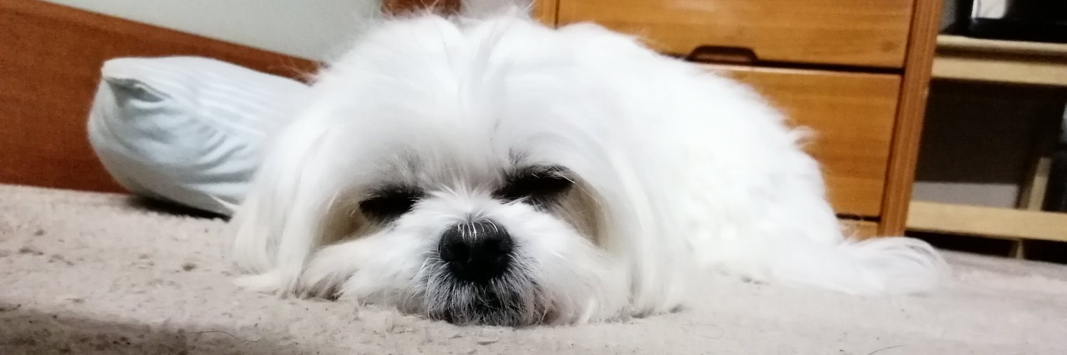 okonosuke's profile banner image