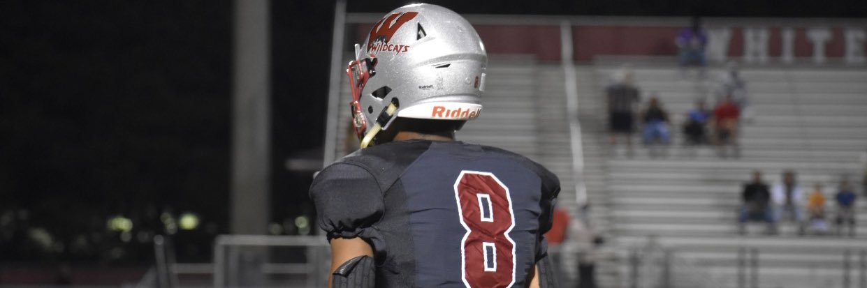 Austin Williams banner