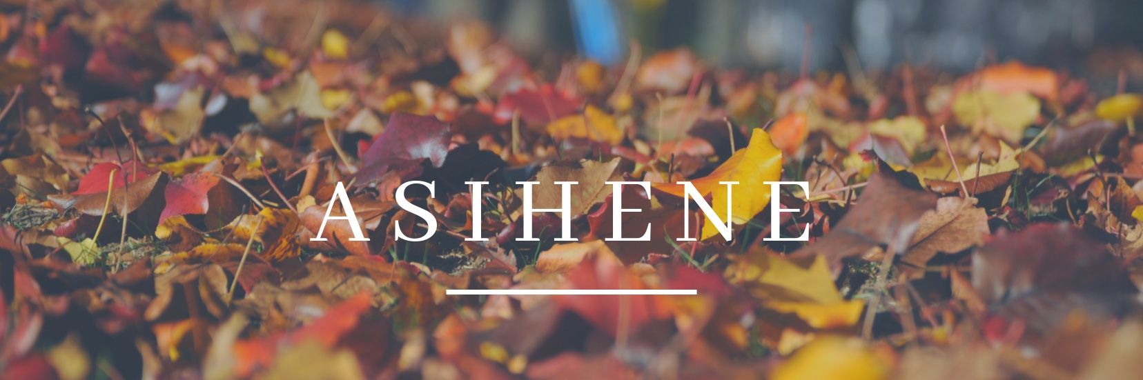 Luther 🇬🇭 banner