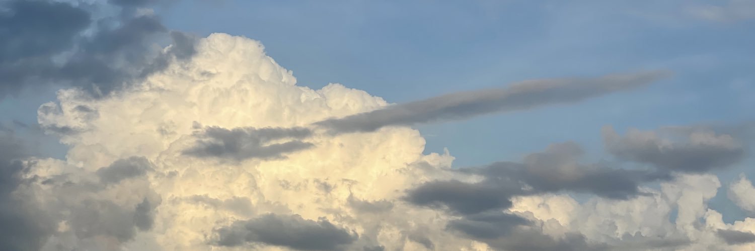 HaileyMorganC11's profile banner image