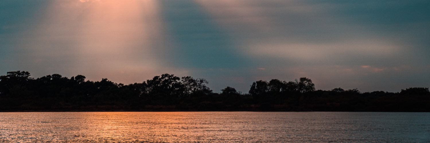 RoroAns7's profile banner image