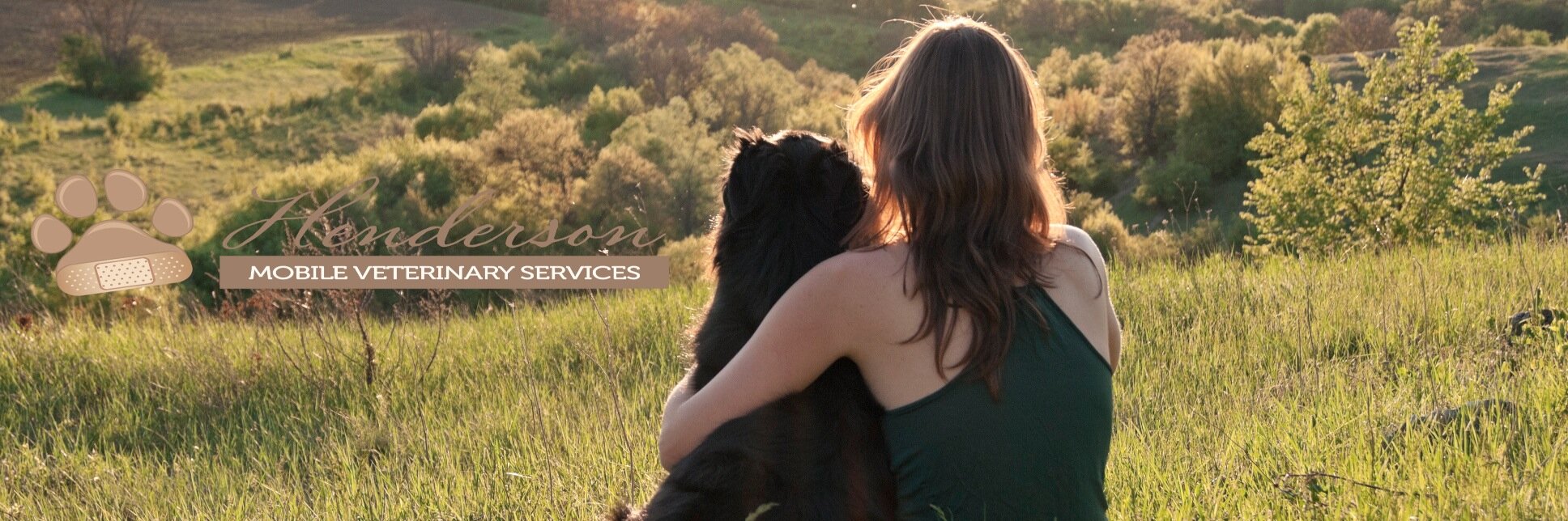 HendersonMobile's profile banner image
