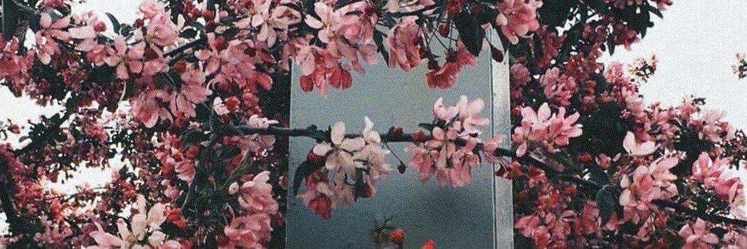 ItsDarkolight's profile banner image