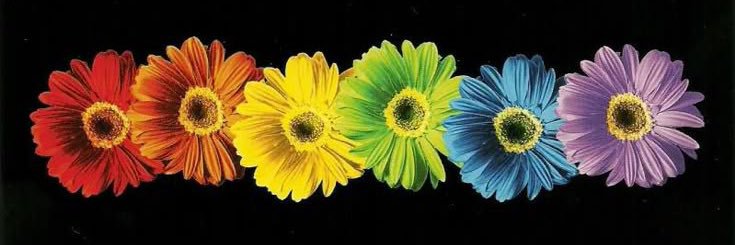 Deborah Llanas banner