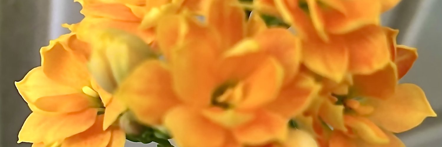 Korerama's profile banner image