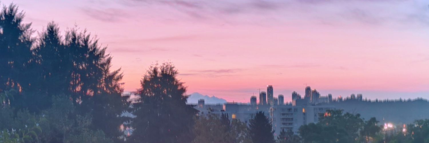 VeluZ's profile banner image
