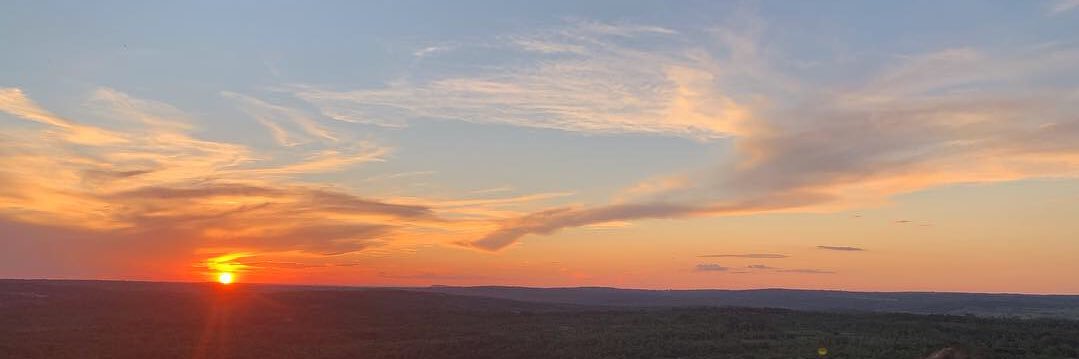 _carosm's profile banner image