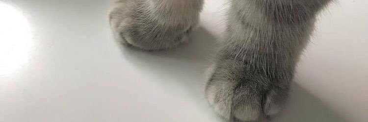 ً banner