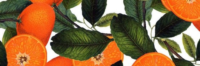 moszhyd's profile banner image