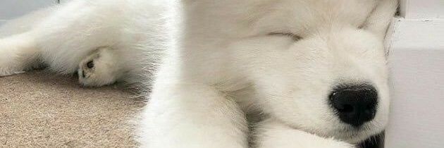 itsAabiforever's profile banner image