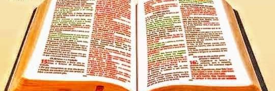 verajkw's profile banner image