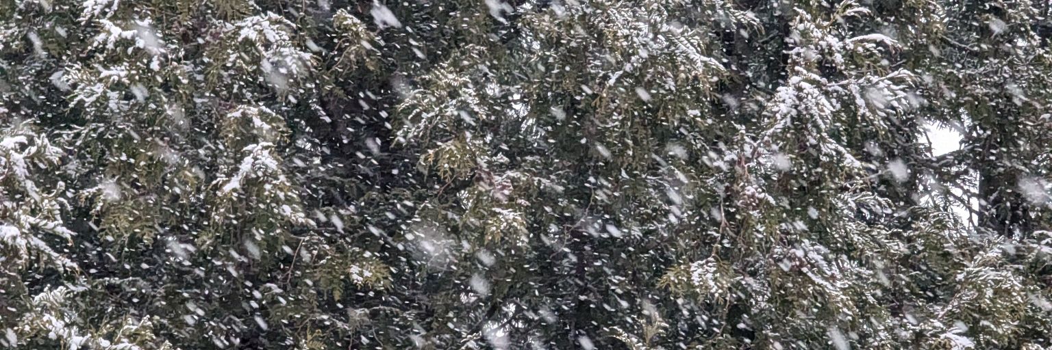 G. Lopes da Silva banner