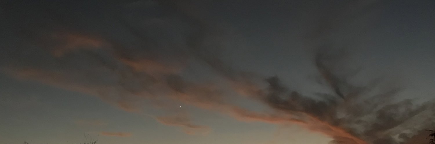 ___WSR___'s profile banner image