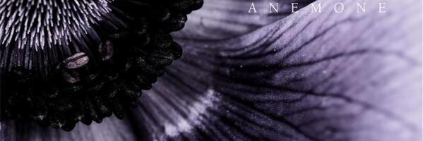 fallot5569's profile banner image