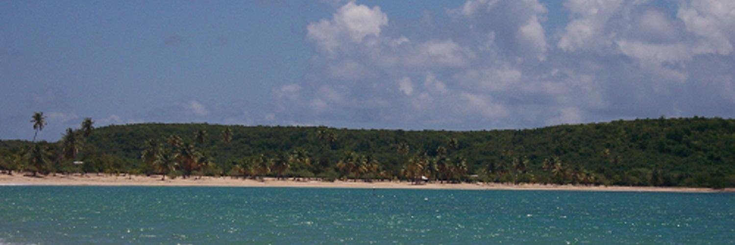 VBiglen's profile banner image