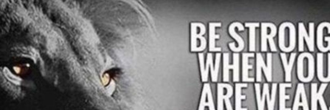 jakemitch0's profile banner image