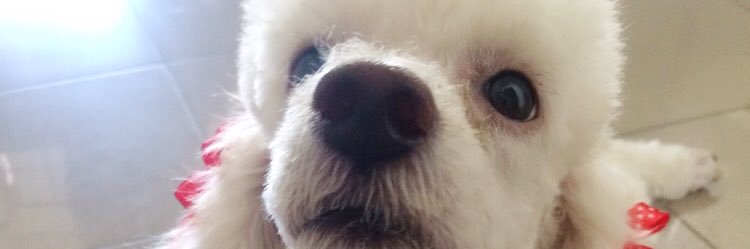 macabreraaa's profile banner image