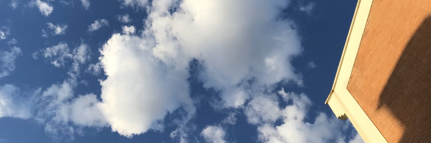 tangxng's profile banner image