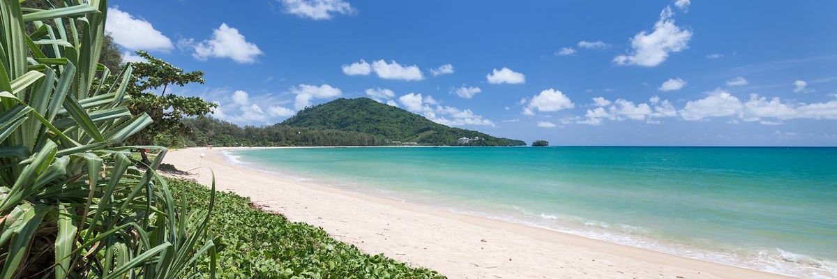 jspbipro's profile banner image