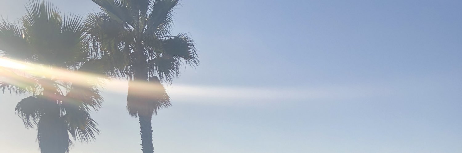 rach_hawk's profile banner image
