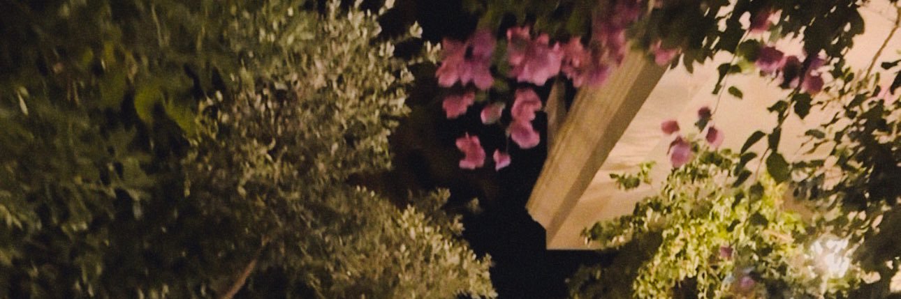 Cαямєη 🦋 banner