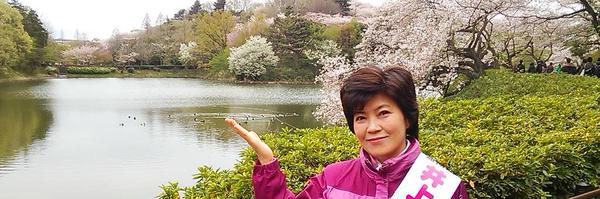 sakuraline Profile Banner