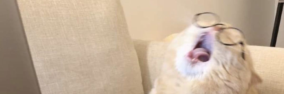 น้องแจ๋ว banner