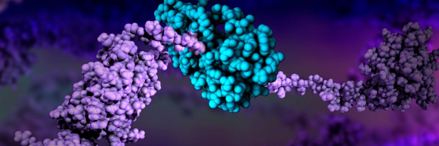 BioInterativa's profile banner image