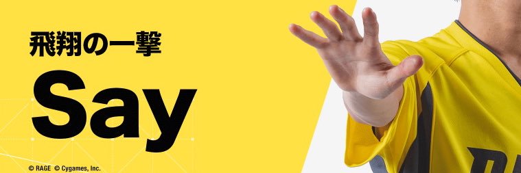 Say banner