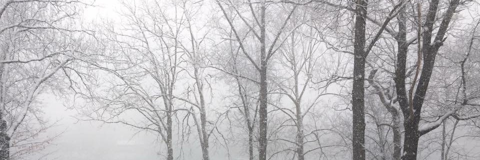 _AprilLewis_'s profile banner image