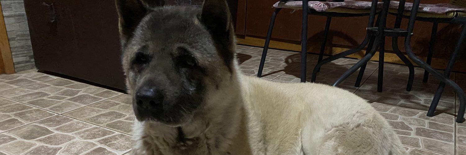 kornizo's profile banner image
