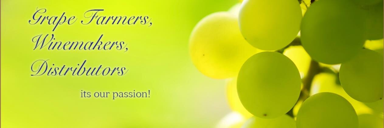 AngeliniWine's profile banner image