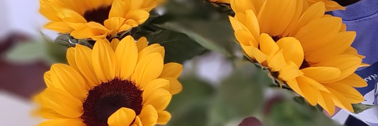 ivananegrao's profile banner image