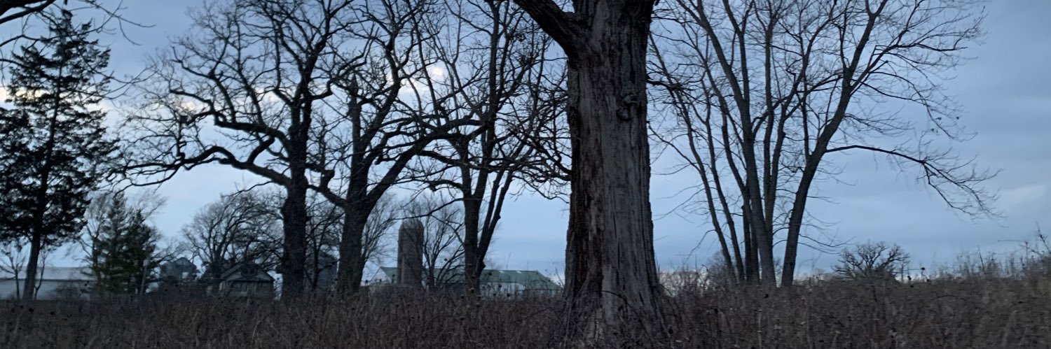 crypto_citty's profile banner image