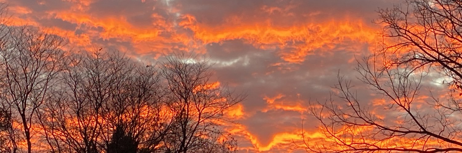 Brian Lavelle banner