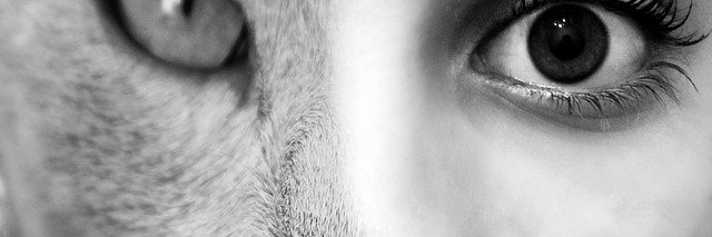 malleshambuddi's profile banner image
