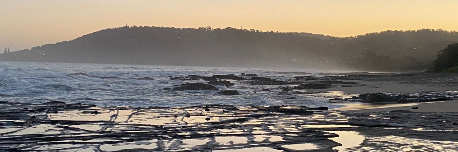 PelicanJoe_'s profile banner image