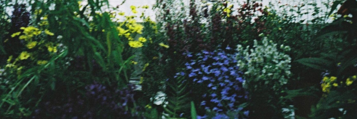 ZururuB's profile banner image