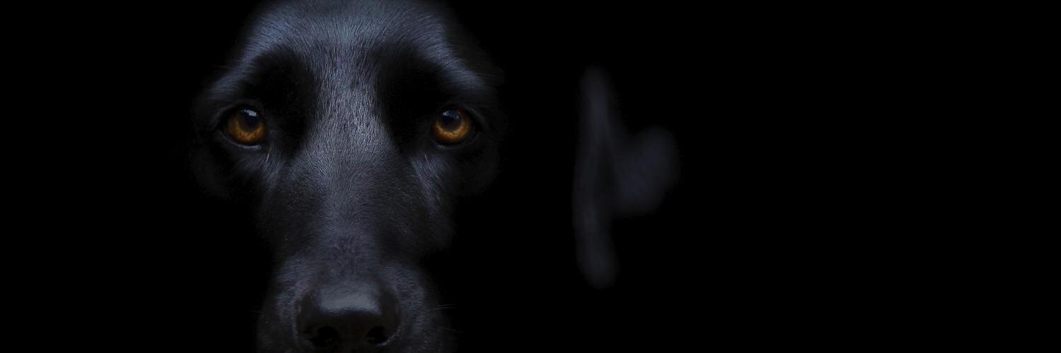 GregChamblee's profile banner image