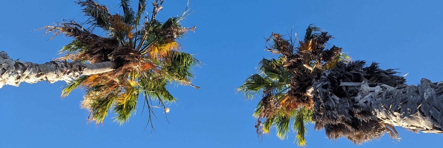 Alba Herrerías banner