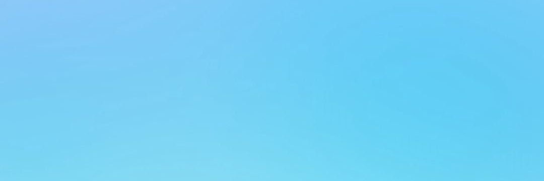 bambou_ banner