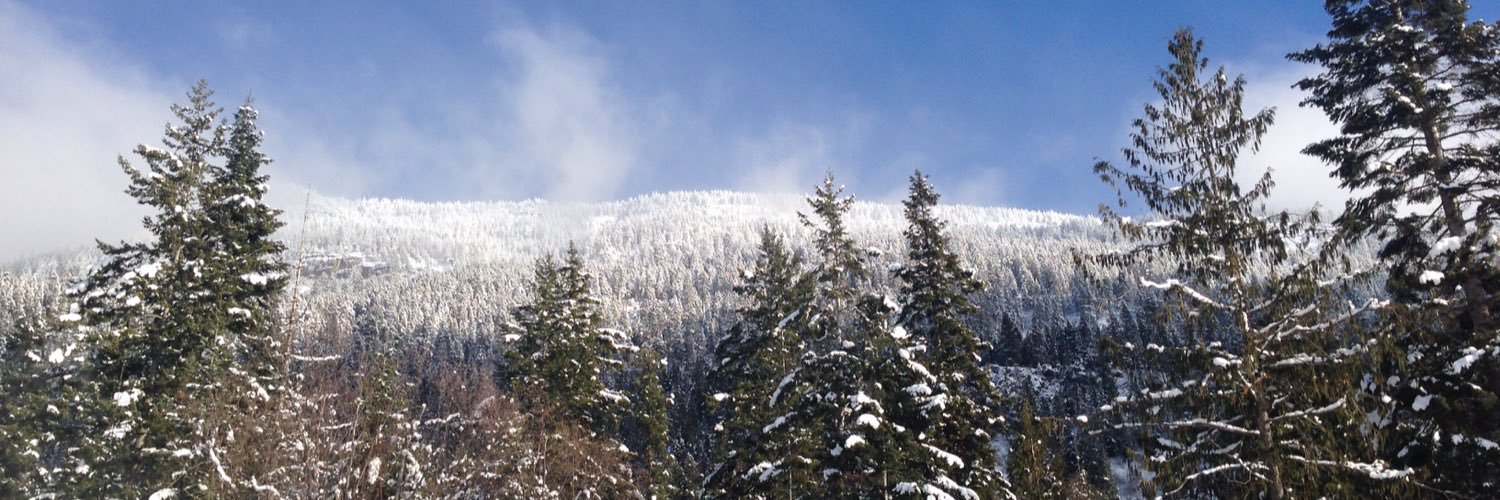 DudeWNT's profile banner image