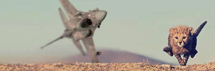 LWF⁺ banner