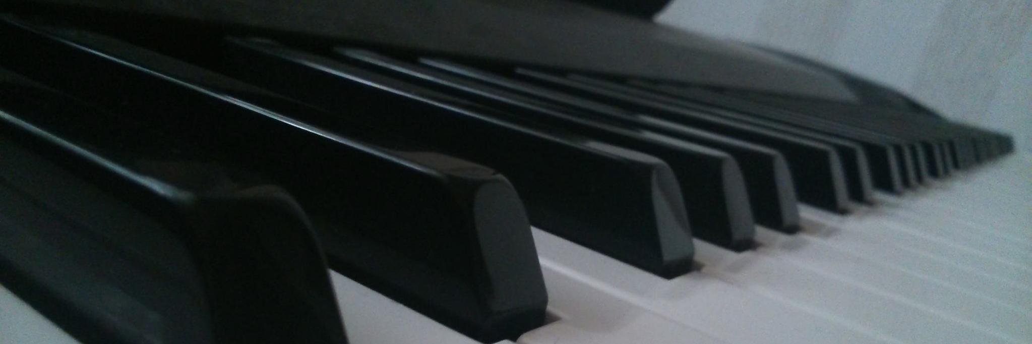 VelvetRipper's profile banner image