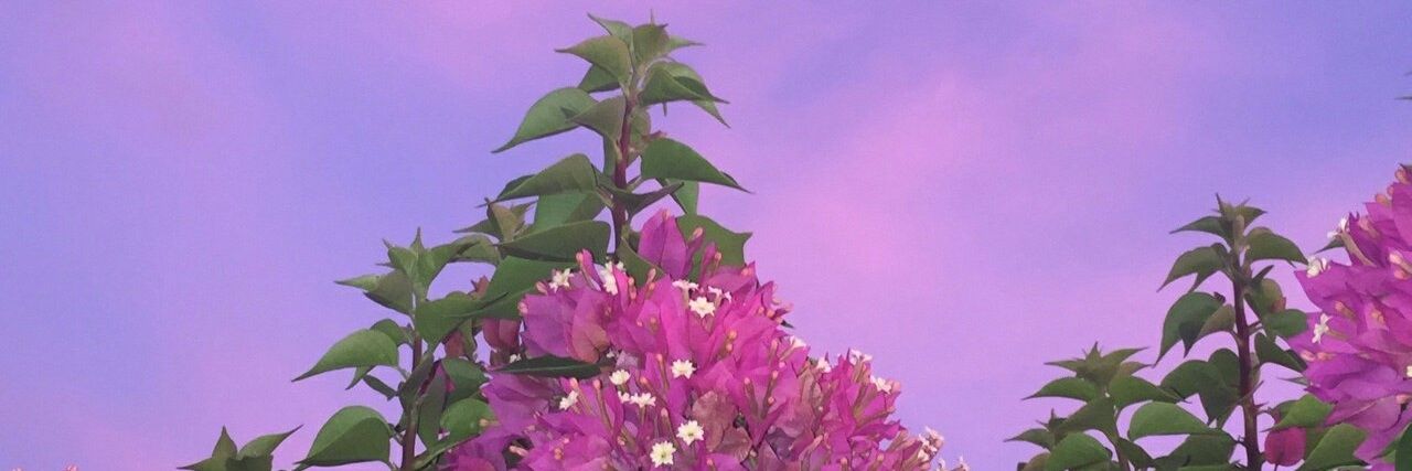 November_1132's profile banner image
