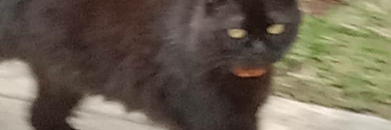 ridzmanzahrin's profile banner image