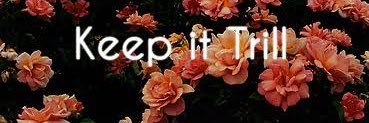 zootedbee's profile banner image
