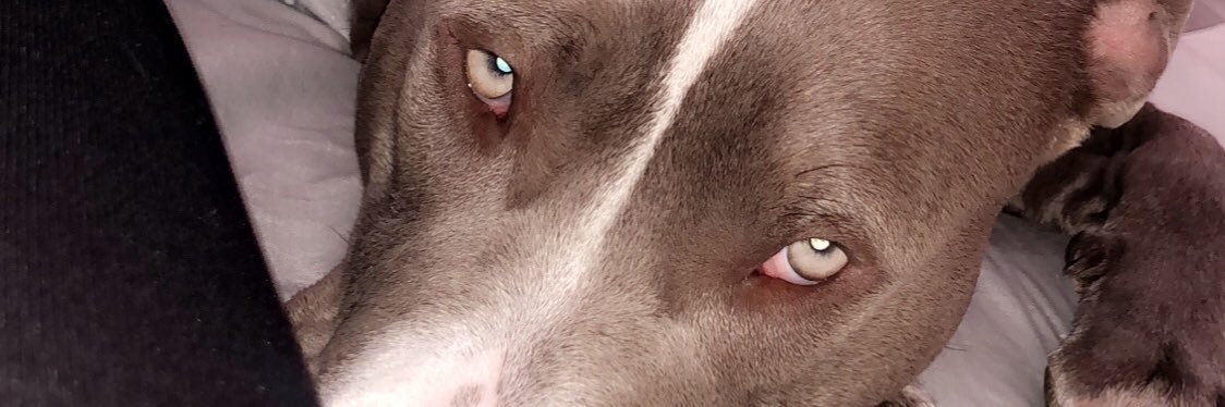 _KarKarJ_'s profile banner image