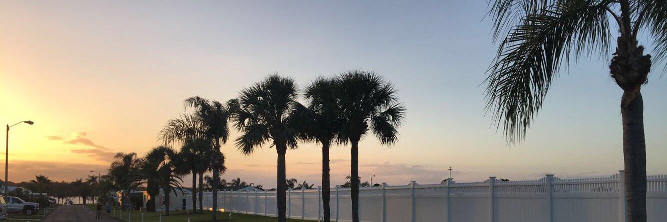 haileywiken's profile banner image